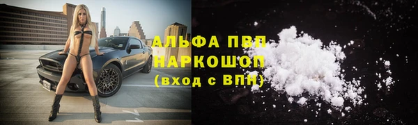 дживик Нефтекумск