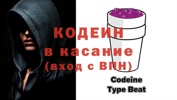 молекула духа Богданович