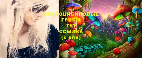 дживик Нефтекумск