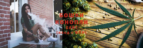 дживик Нефтекумск